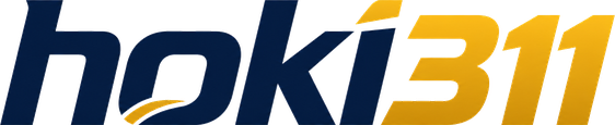 hoki311 Logo